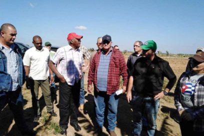 Exhorta Vicepresidente cubano a acortar plazos en inversiones agrícolas de Pinar del Río
