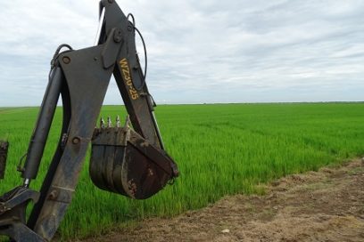 Hacer ciencia grano a grano