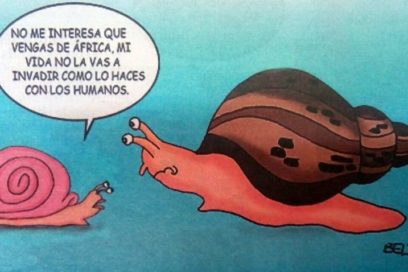 La Guagua: Caracol Gigante Africano (+ Video)