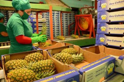Increasing exports, a priority for Cuban economy