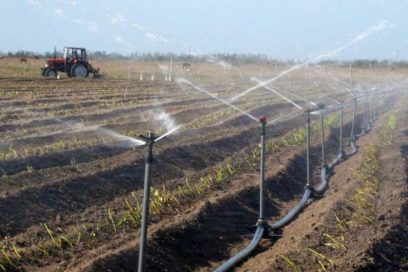 Cuba necesita incrementar ingresos en divisa y reducir gastos