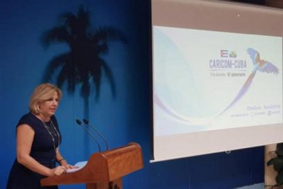 El Caribe siempre podrá contar con Cuba, afirma vicecanciller