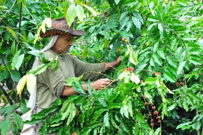 La Fortuna que da la tierra (+ Fotos)