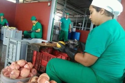 Los verdaderos protagonistas del plan económico 2020