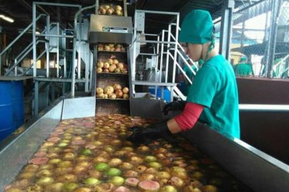 Realizan en Ciego de Ávila actividades por aniversario 81 de la CTC