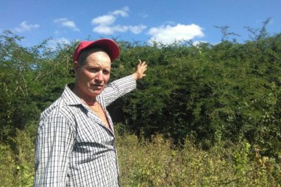La Caridad es de dos, la ilegalidad No (+ Fotos y video)