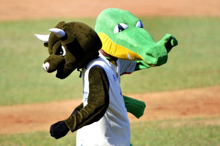 ¿Mascotas amigas?. Foto: José Raúl Rodríguez Robleda