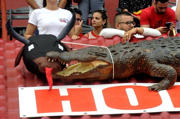 El Cocodrilo se comió al Toro. Foto: José Raúl Rodríguez Robleda