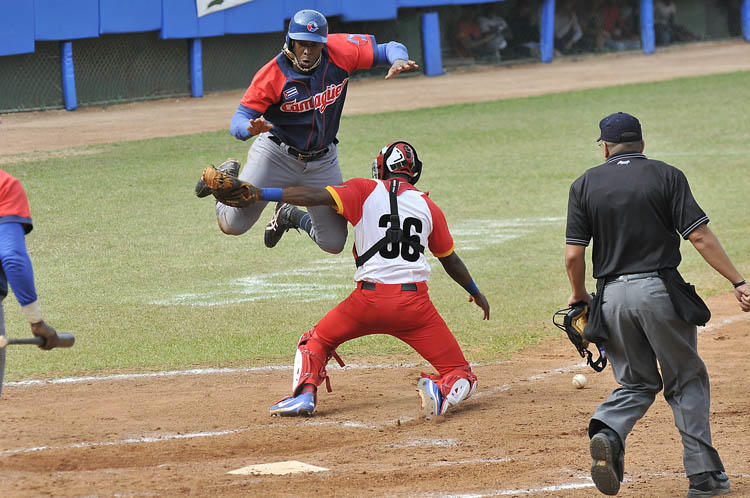 Leslie Anderson: ¿Toro o Tigre?. Foto: José Raúl Rodríguez Robleda