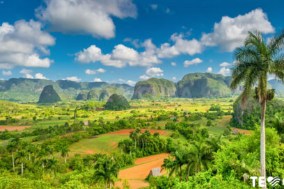 Papa Francisco critica insuficiente acción contra cambio climático