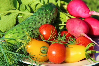 ¿Es posible alimentar la población mundial sin destruir el planeta?