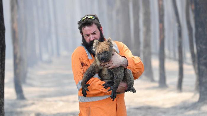 Australia’s forest fires have killed millions of animals and destroyed ecosystems. Photo: EFE
