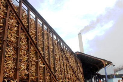 Año nuevo, ritmo nuevo