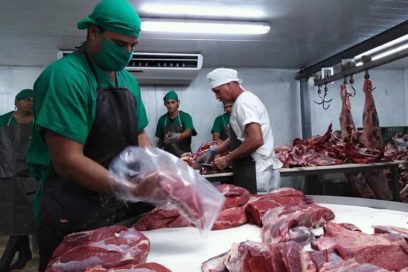 Turiguanó: El brillo distinto del oro rojo (+ Fotos)