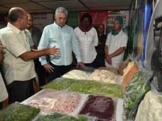 Visita a Planta Procesadora de Vegetales en Mayabeque