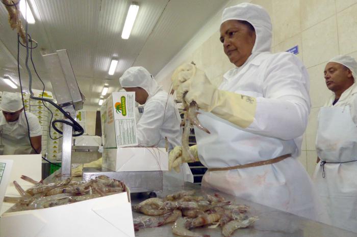 Desde los 16 años, Salvadora López está trabajando en la Empresa Pesquera Industrial de Granma. Foto: Dilbert Reyes Rodríguez