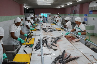 Empresa Pesquera Camagüey crea en favor del plan