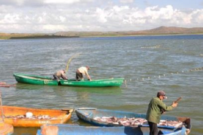 Industria pesquera: Anclar tempestades