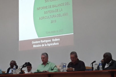 Analizan en presencia de Díaz-Canel labor de la Agricultura en Cuba