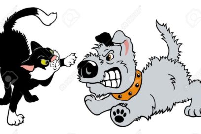 Con Filo: La violencia es debilidad