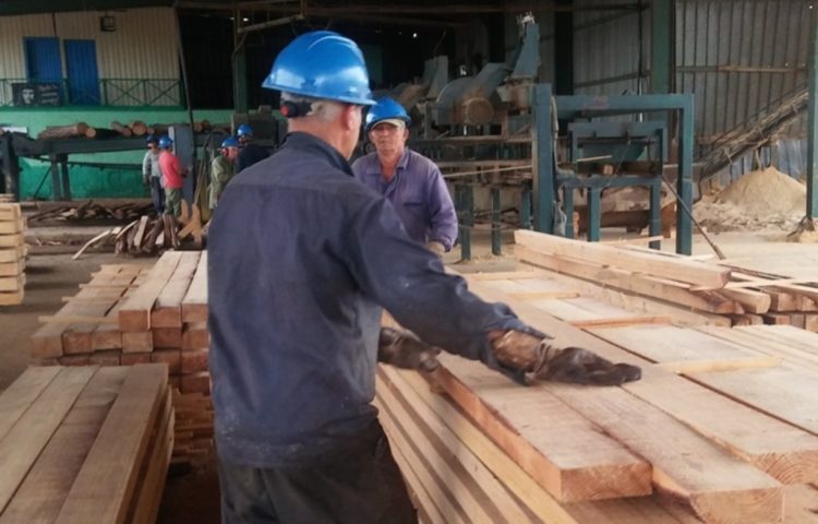 Los trabajadores de la Empresa Agroforestal Matanzas son los protagonistas de los logros alcanzados por la mejor entidad de su tipo en el país. Foto: Noryis