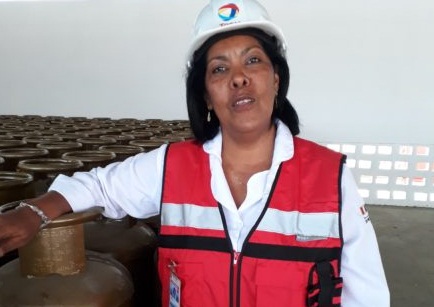 Reina María Núñez Espinosa, gerente general de la empresa mixta ELF Gas Cuba. Foto: Betty BeatónReina María Núñez Espinosa, gerente general de la empresa mixta ELF Gas Cuba. Foto: Betty Beatón
