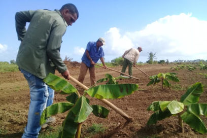 Entrega de tierras a jóvenes egresados del Servicio Militar