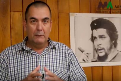 Agricultura: Son tiempos de mucha entrega (+Video)