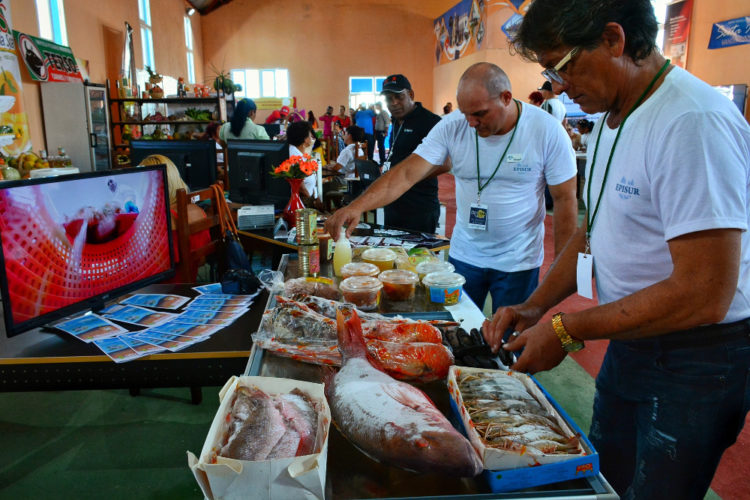 En ediciones anteriores ExpoCam ha demostrado ser una oportunidad para crear alianzas económicas. (Foto: Leandro Armando Pérez Pérez)