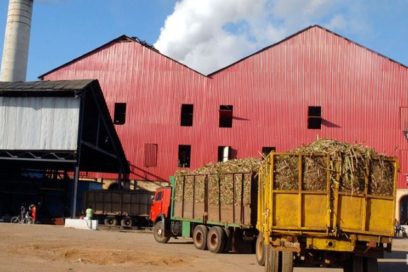 El central Primero de Enero, primer cumplidor del plan de azúcar