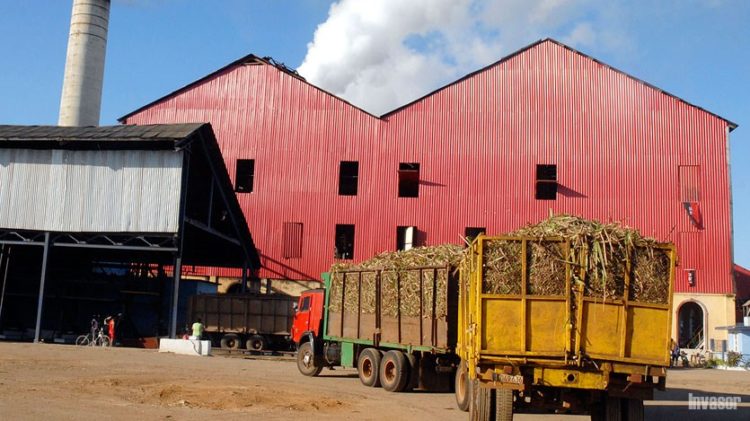 El óptimo aprovechamiento de la materia prima es prioridad del colectivo de esta industria. Foto: Pastor Batista Valdés
