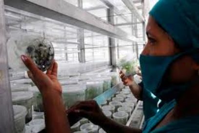 Reciben condición de Vanguardia Nacional 24 colectivos de Villa Clara