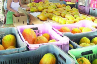 Reorientan destino de productos del agro