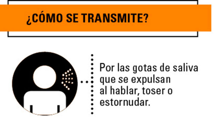 Infografía: Elsy Frómeta