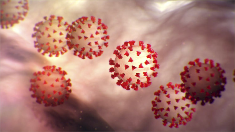 La morfología ultraestructural exhibida por el nuevo coronavirus. (Cdc/Cdc/www.globallookpress.com)