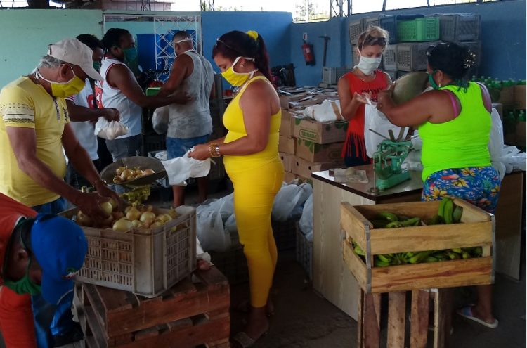 La preparación de módulos para acercar los productos del agro a las personas más vulnerables es una de las tareas de prioridad