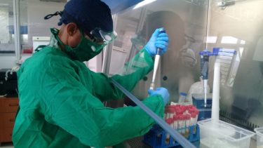 Rigor, profesionalismo, apego a los protocolos establecidos, autoresponsabilidad… son consustanciales al personal del laboratorio de biología molecular y virología de Santiago de Cuba