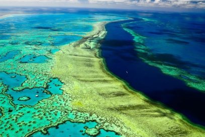Padece Gran Barrera de Coral de Australia su peor blanqueo masivo
