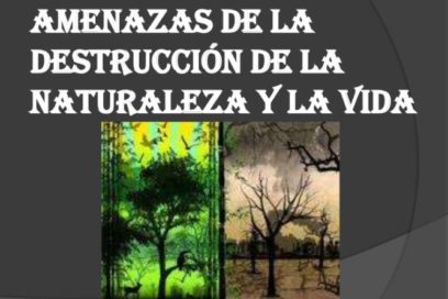ONU alerta: Invasión de la naturaleza genera enfermedades en humanos