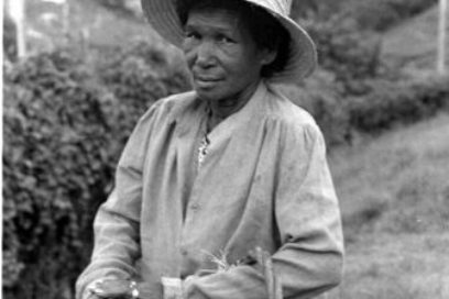 Petra: genio y figura