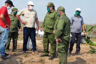 Cienfuegos: Sembrar hoy para cosechar mañana