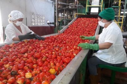 Una “conserva” especial de laboriosidad (+ Video y Fotos)