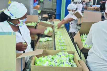 Nuestras manos laboriosas responden