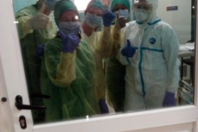 Cuando el misterio se devela tras un microscopio