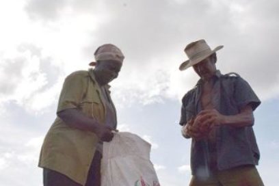 Producción de alimentos: Sacándole más al surco