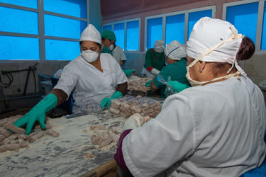 La elaboración de embutidos y productos conformados no se detienen en Camagüey, porque la misión es garantizar comida al pueblo. Leandro Armando Pérez Pérez