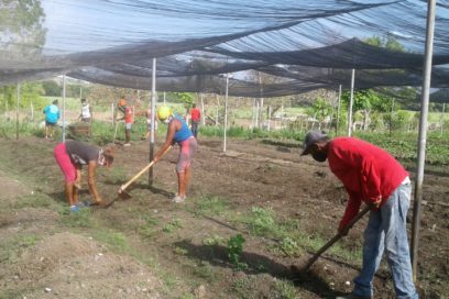 Brigadas de apoyo a la agricultura: otro escenario frente a la Covid-19