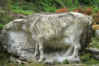 Zoológico de Piedras: más de un cuarto de siglo en la singularidad (+ Fotos y video)