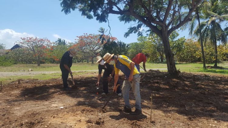 En áreas del hotel Iberostar Bella Costa se incursiona en la producción de alimentos.