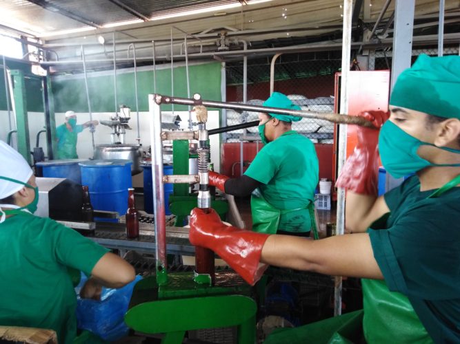 A pesar de la pandemia, la tormenta local severa y el bloqueo económico, una nueva línea embotelladora de puré y juegos reanuda las producciones. Foto: José Luis Martínez Alejo